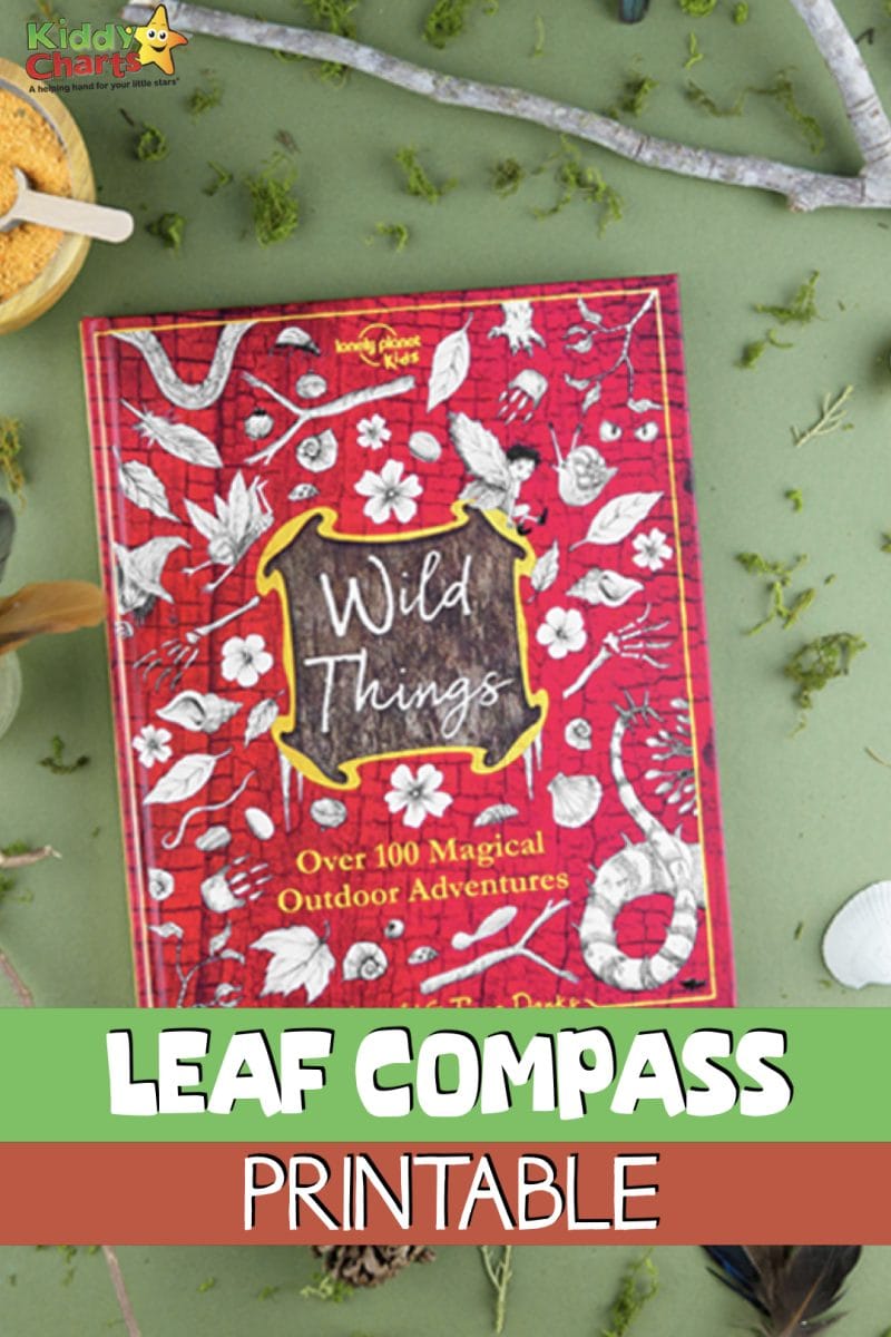 Nature Compass Template.pdf Try our Printable leaf compass for an outdoor magical adventure