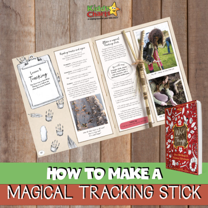 Today we’re sharing how to make a magical tracking stick so that you can easily get outdoors and have some fun tracking magical creatures that live among us