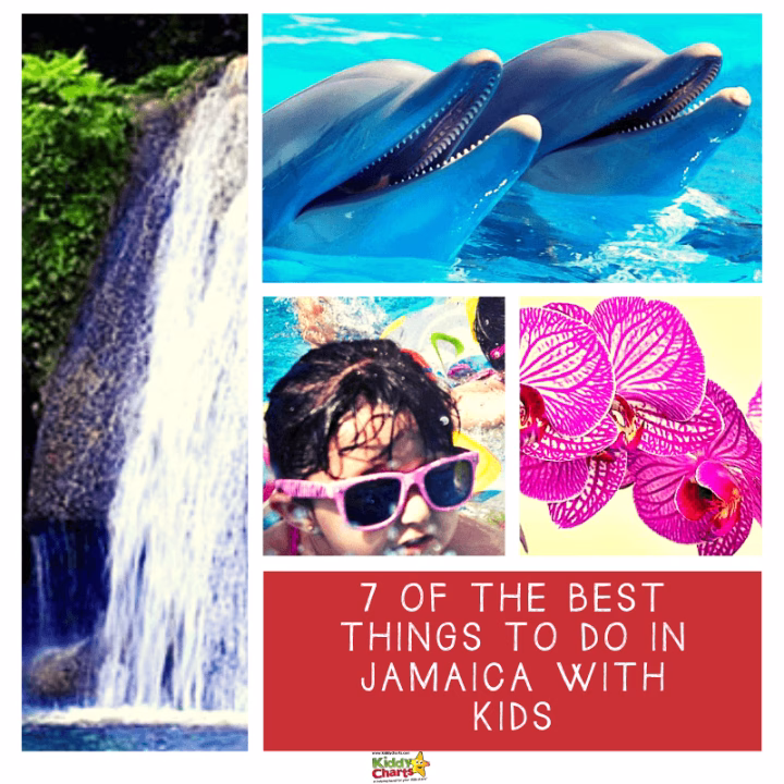 Families can explore Jamaica together by participating in a variety of activities, such as visiting beaches, exploring waterfalls, and taking part in cultural experiences.