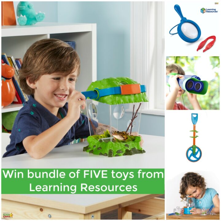 In this image, a person is being offered the chance to win a bundle of five toys from Learning Resources.