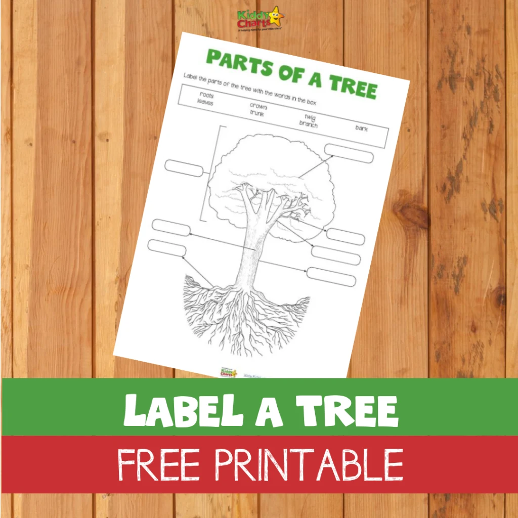 Label a Tree free printable for kids