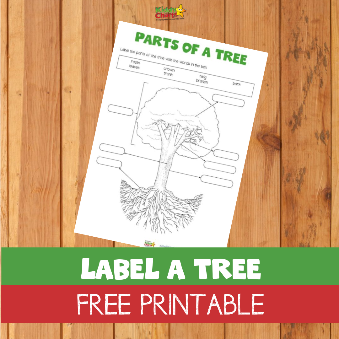Label a Tree Free Printable - KiddyCharts Printables In Parts Of A Tree Worksheet