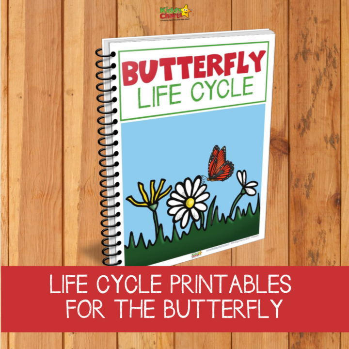 This image shows a diagram of the life cycle of a butterfly, with printables available from the website 