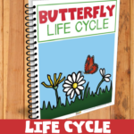 This image shows a chart of the life cycle of a butterfly, along with printables for the butterfly life cycle.