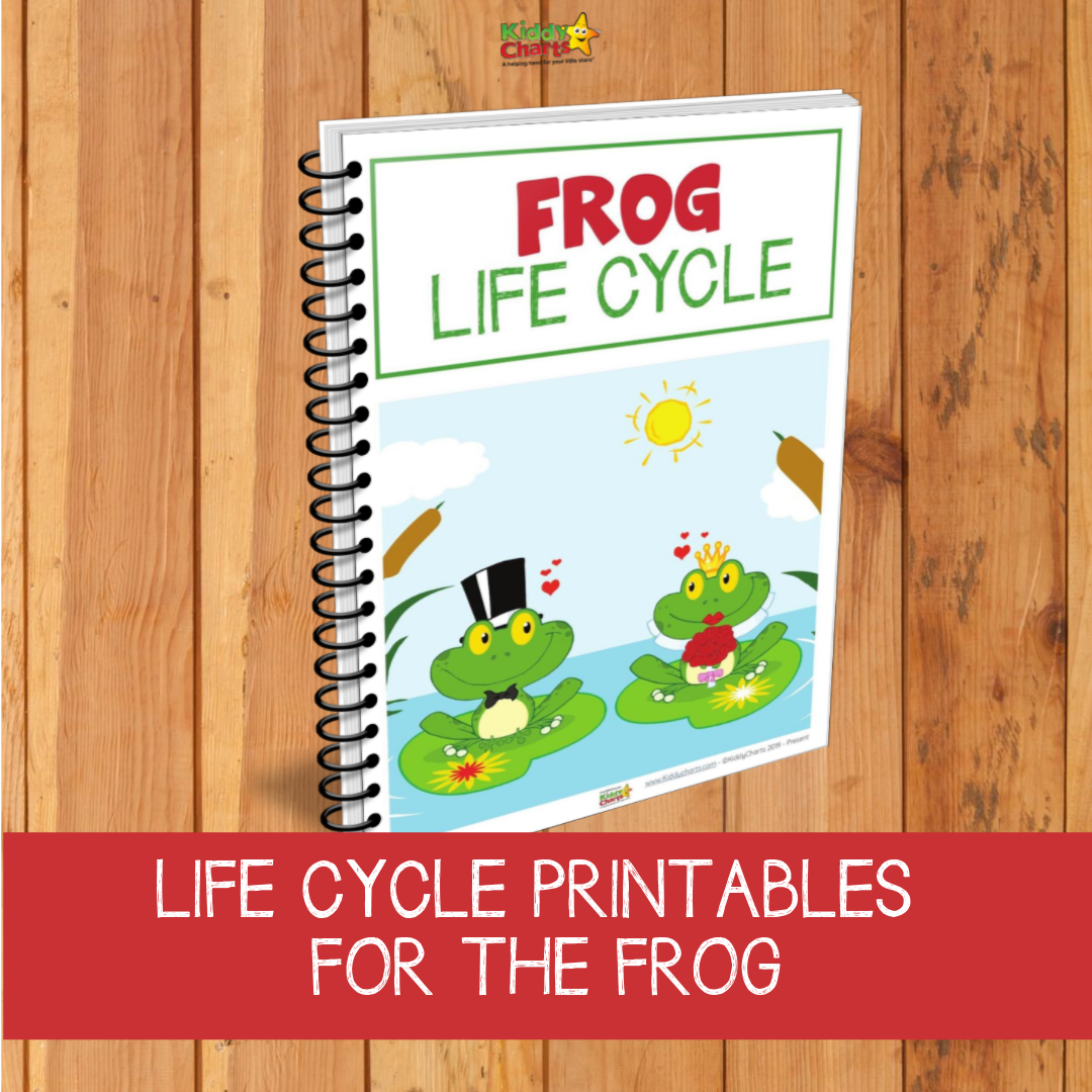 Frog life cycle printables