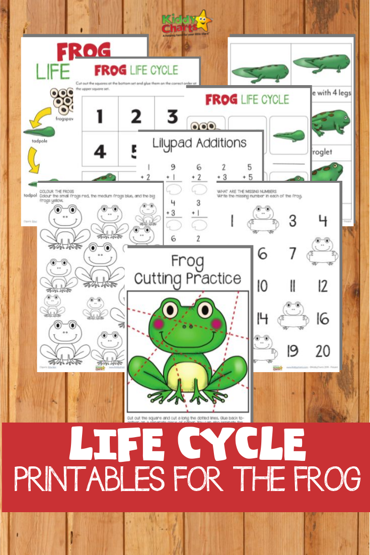 Frog life cycle printables
