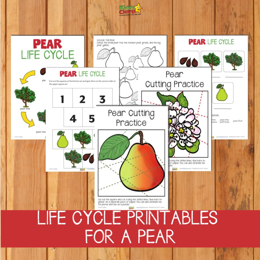 Pear Life Cycle printables you can get from the site on a wooden surface.