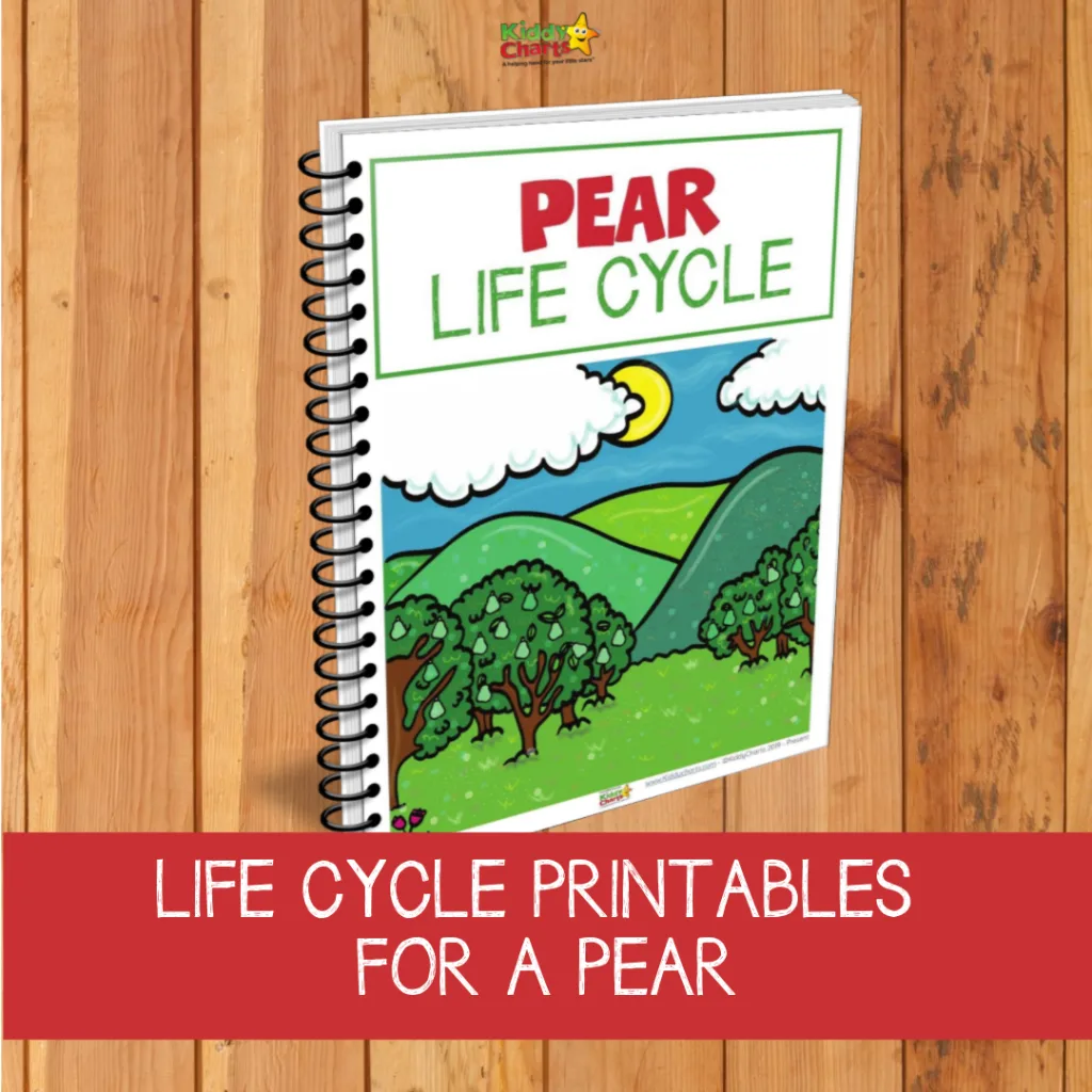 Pear life cycle printables worksheets for kids 