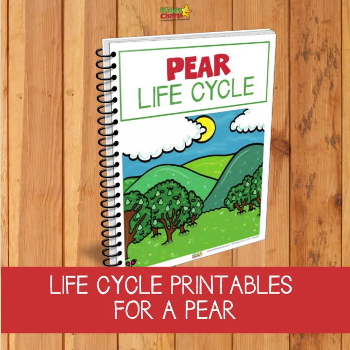 This image depicts a life cycle of a pear with printables available for download from priddyats.com.