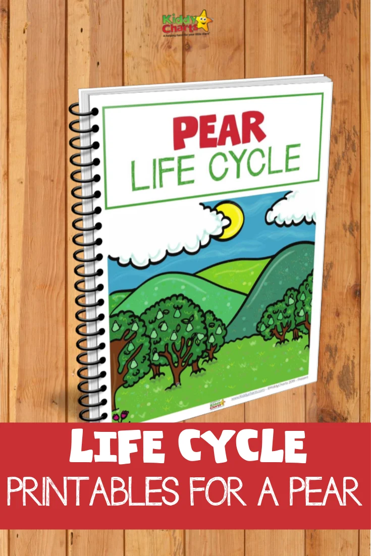Picture of pear lifecycle printables eBook cover on a wood background.