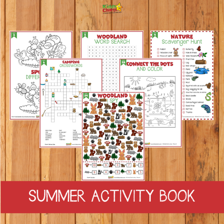 This image is a page from a summer activity book featuring a woodland word search, crosswords, connect the dots, and a spy game.