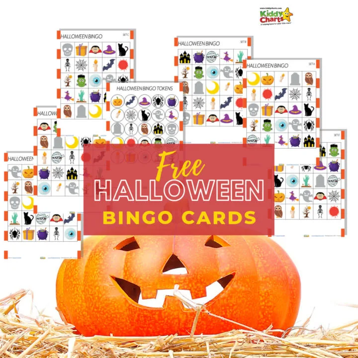 This image is advertising a Halloween Bingo set, which includes cards, tokens, and a bingo board.