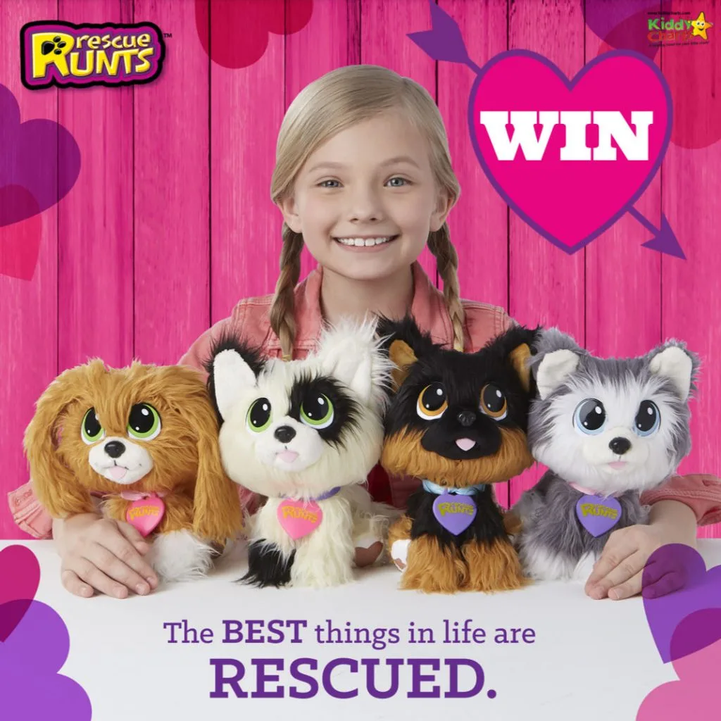 Girl with four rescue runts