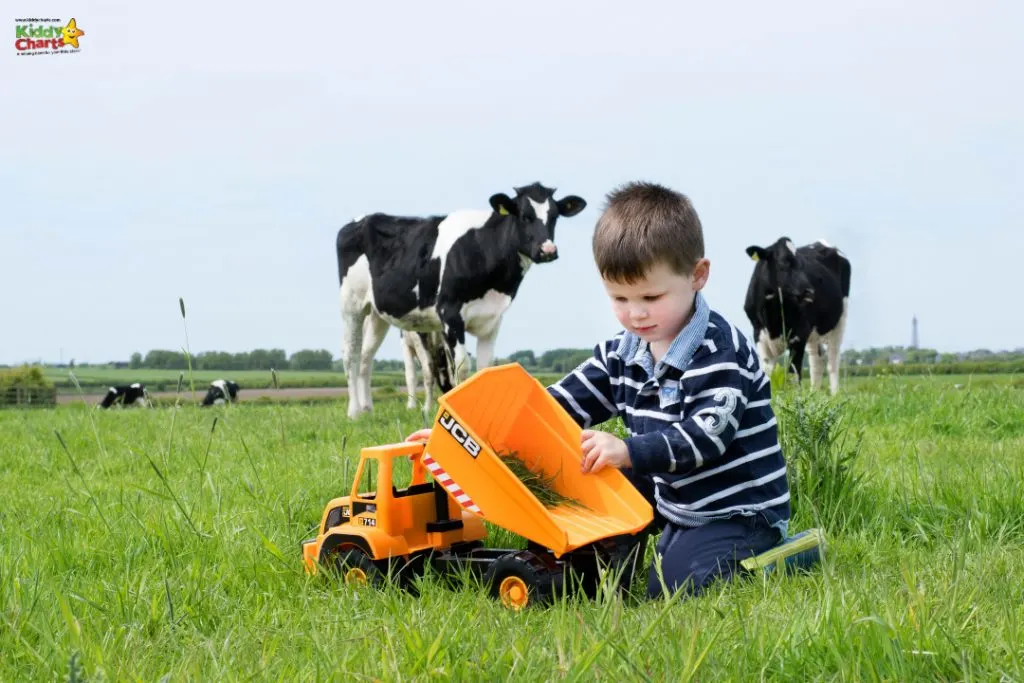 Teamsterz: young boy playing with toy JCB digger in a grassy field.
