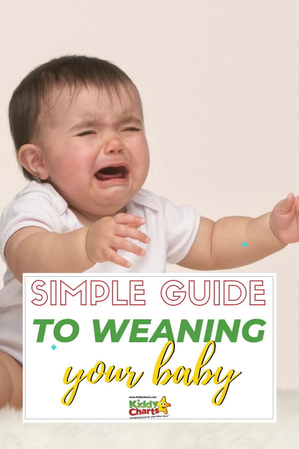 https://www.kiddycharts.com/assets/2019/11/A-Simple-Guide-to-Weaning-your-Baby-pin.png.webp