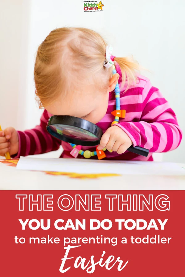 If you want to make toddler parenting a little easier, it’s a good idea to try and see things from their perspective