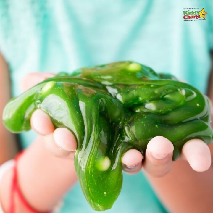 A person is harvesting a variety of green bell peppers, chili peppers, capsicum, and sweet peppers from a plant.