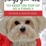 The image is providing tips on how to keep a family dog healthy.