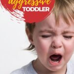 In this image, a parent is being given advice on how to handle an aggressive toddler.