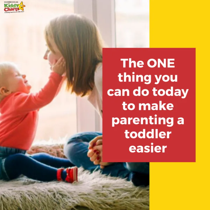 This image is providing parents of toddlers with helpful tips and advice on how to make parenting easier.