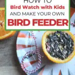 This image is providing instructions on how to bird watch with kids and make a bird feeder.