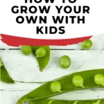 A vibrant image of a variety of natural produce, including snap peas, snow peas, and legumes, encourages kids to learn how to grow their own vegetables.