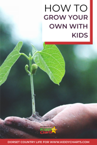 How to grow your own with kids #31DaysOfLearning