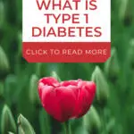 In the image, a mother is helping their child learn about Type 1 Diabetes by clicking on a link for more information.