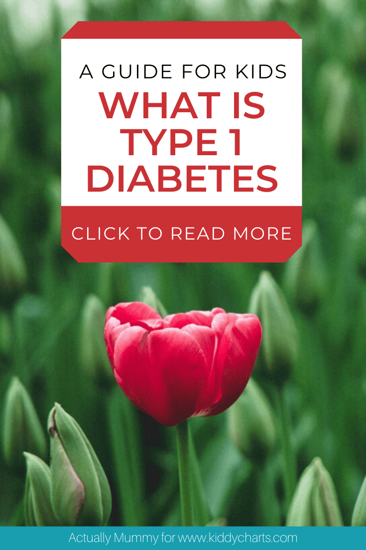 Type 1 Diabetes Kids Guide: A Guide for Kids to Type 1 Diabetes