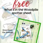 This image is promoting a free printable spotter sheet to help identify various creatures found in a woodpile.