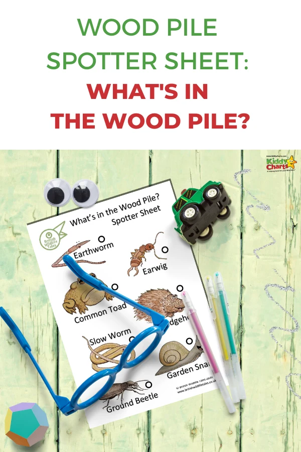 What's in a wood pile spotter sheet?