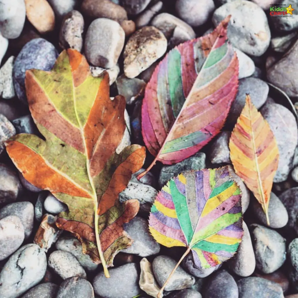 Mindful art activities for children: leaves in different colours on stones #31DaysOfLearning