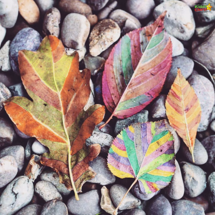 A variety of colorful leaves are scattered across the ground.