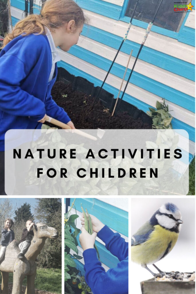 Nature activities for children