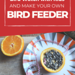 This image is showing instructions for how to make a bird feeder and go bird watching with kids.