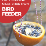In this image, instructions are provided on how to bird watch with kids and make a bird feeder with the help of Kiddy Charts.