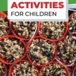 Children are engaging in nature activities with their parents at Kiddy Charts.