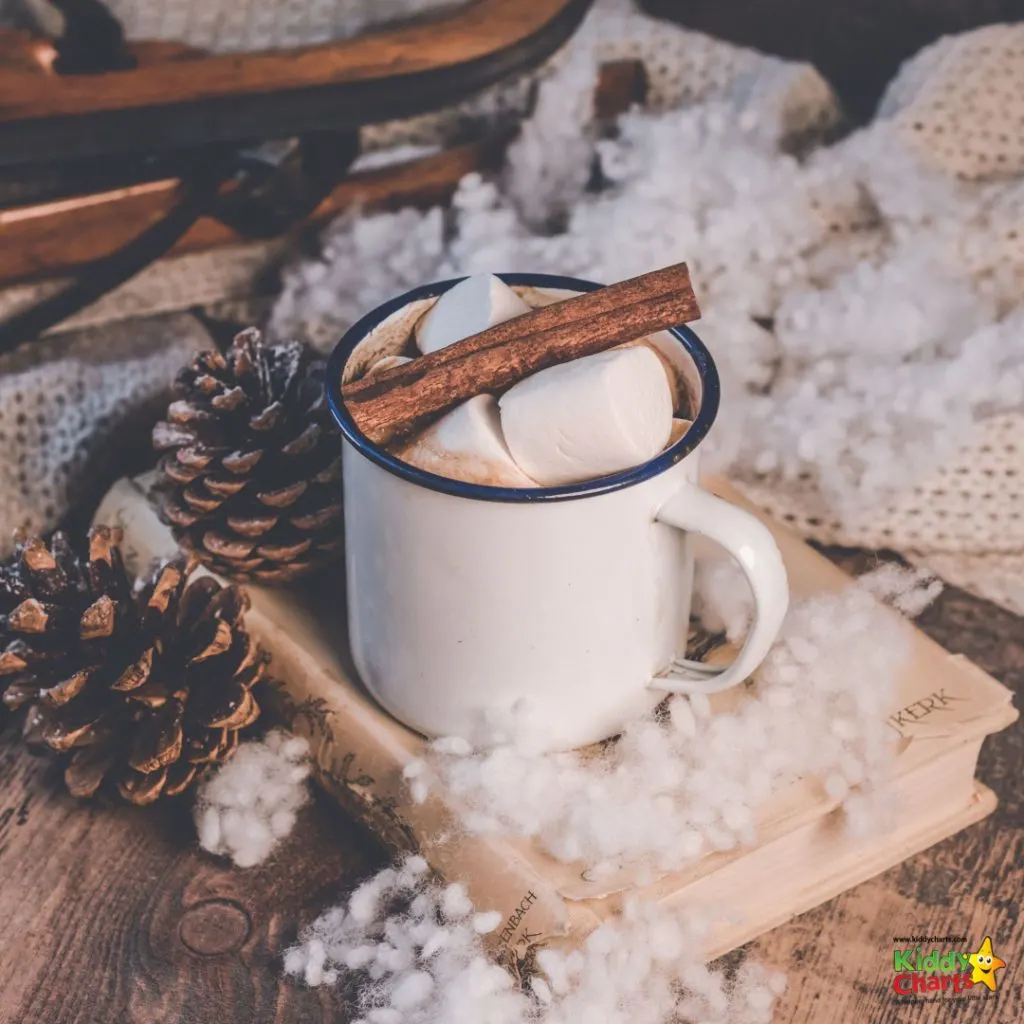 winter scene with hot cocoa on a book