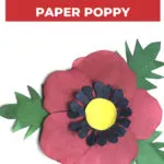A vibrant paper poppy on a poster with the text "Make Your Own Paper Poppy" and "Kiddy Charts: A helping hand for your little stars" beneath it.