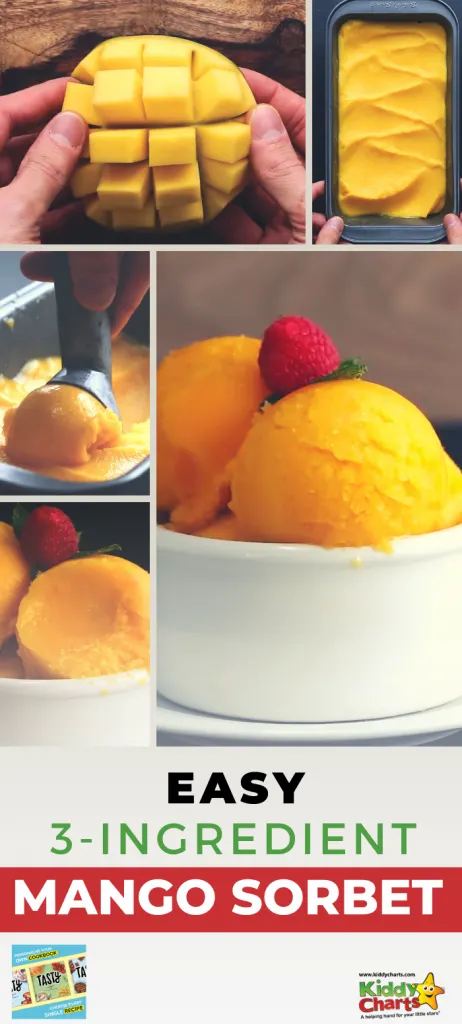 Simple 3 ingredinet mango sorbet recipe from Tasty cookbook