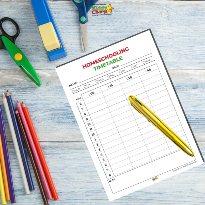 A student is organizing their homeschooling timetable using office supplies, text, stationery, office instruments, general supplies, marking tools, ball pens, handwriting tools, pencils, marker pens, writing implements, and pens.