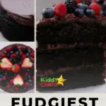 This image is promoting a recipe for a dairy-free chocolate cake taken from the website Tasty Vegan, which can be accessed through the website www.kiddycharts.com.
