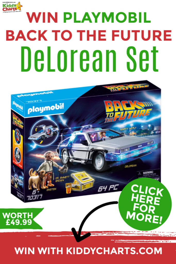 Win Playmobil Back to the Future DeLorean Set