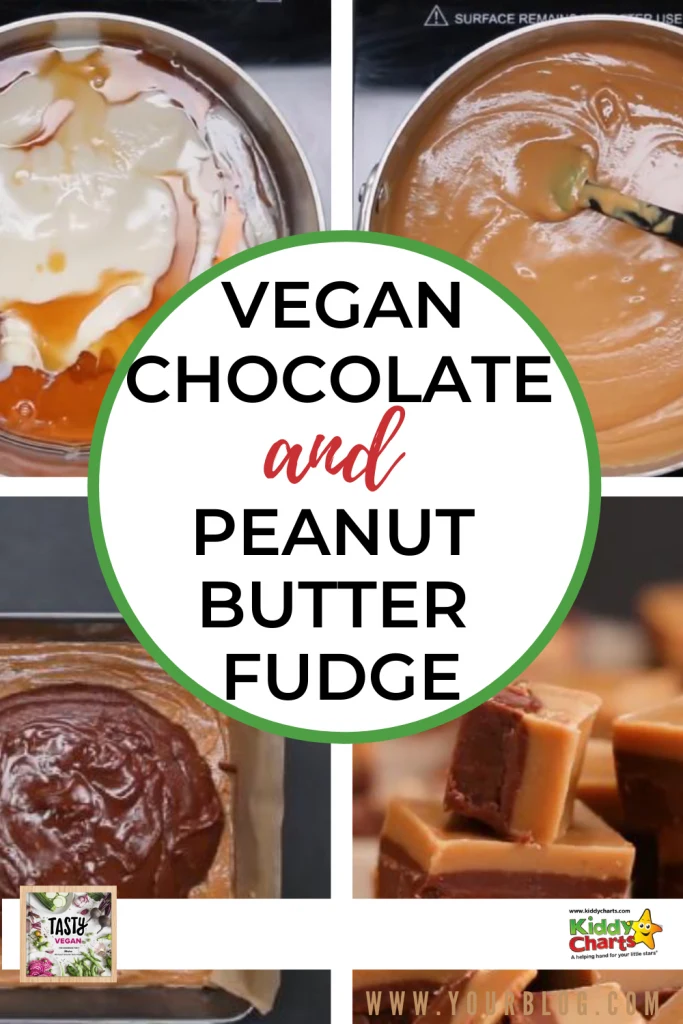 vegan chocolate and peanut butter fudge