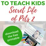 This image is showing a discussion guide for the movie "The Secret Life of Pets 2" which includes questions to help facilitate a discussion about the movie and the differences between real life pets and the pets in the movie.