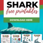 In this image, there are four different shark-themed activities (free printables, a square puzzle, cut & glue, and Kiddy Charts) that are available for download from www.kiddycharts.com to help children learn and grow.