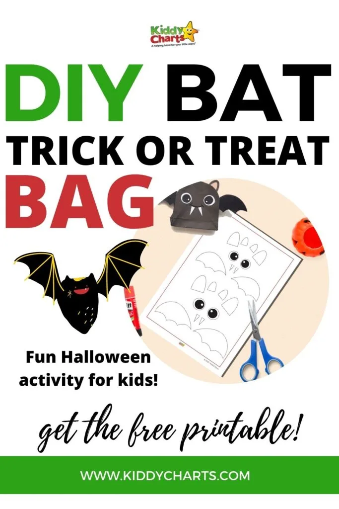 Bat Trick or Treat Bag