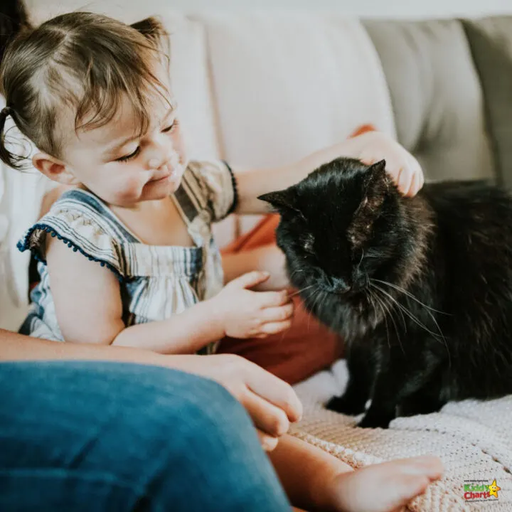 A toddler cuddles a domestic cat while two small to medium-sized cats look on, providing comfort in an indoor setting.