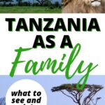 A family is exploring the sights and activities of Tanzania through the Kiddy Charts website.