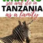 A poster featuring a zebra in the wild showcases the wildlife and outdoor activities available in Tanzania for families to explore.